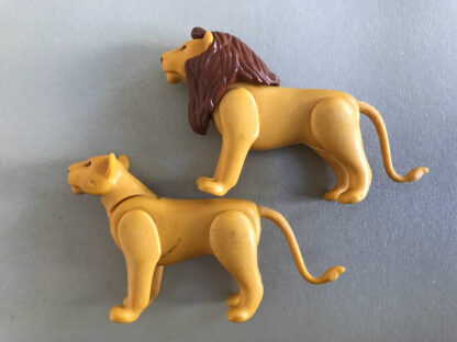 Playmobil Tier Löwenpaar von der Seite